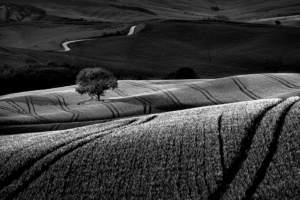 Arkadiusz-Palasinski-Limited-Print-Tuscany-Collection