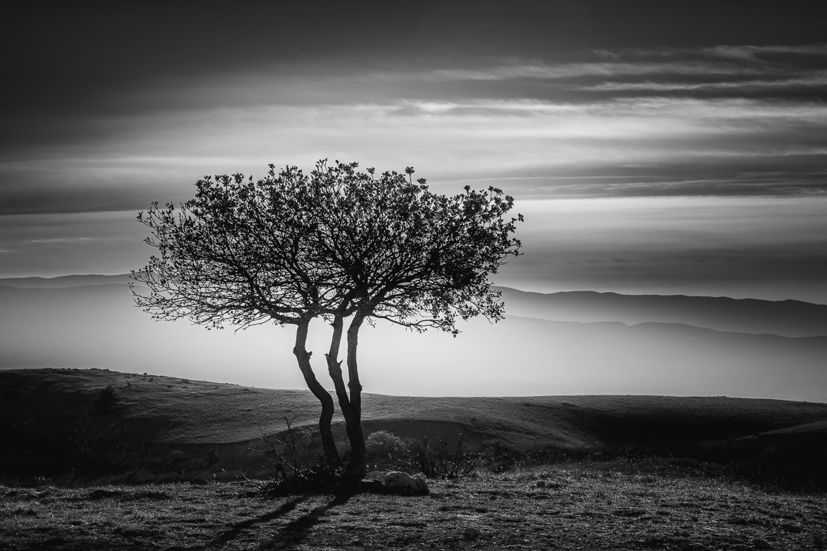 ArkadiuszPalasinski_LimitedPrint_Tuscany_3